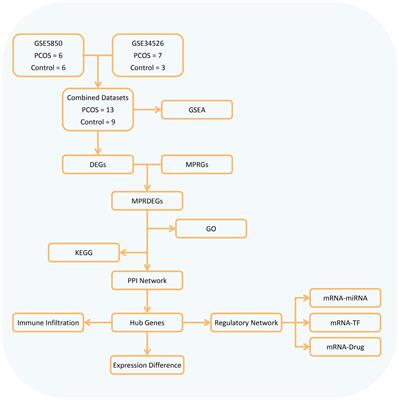 Analysis of macrophage polarization and regulation characteristics in ovarian tissues of polycystic ovary syndrome